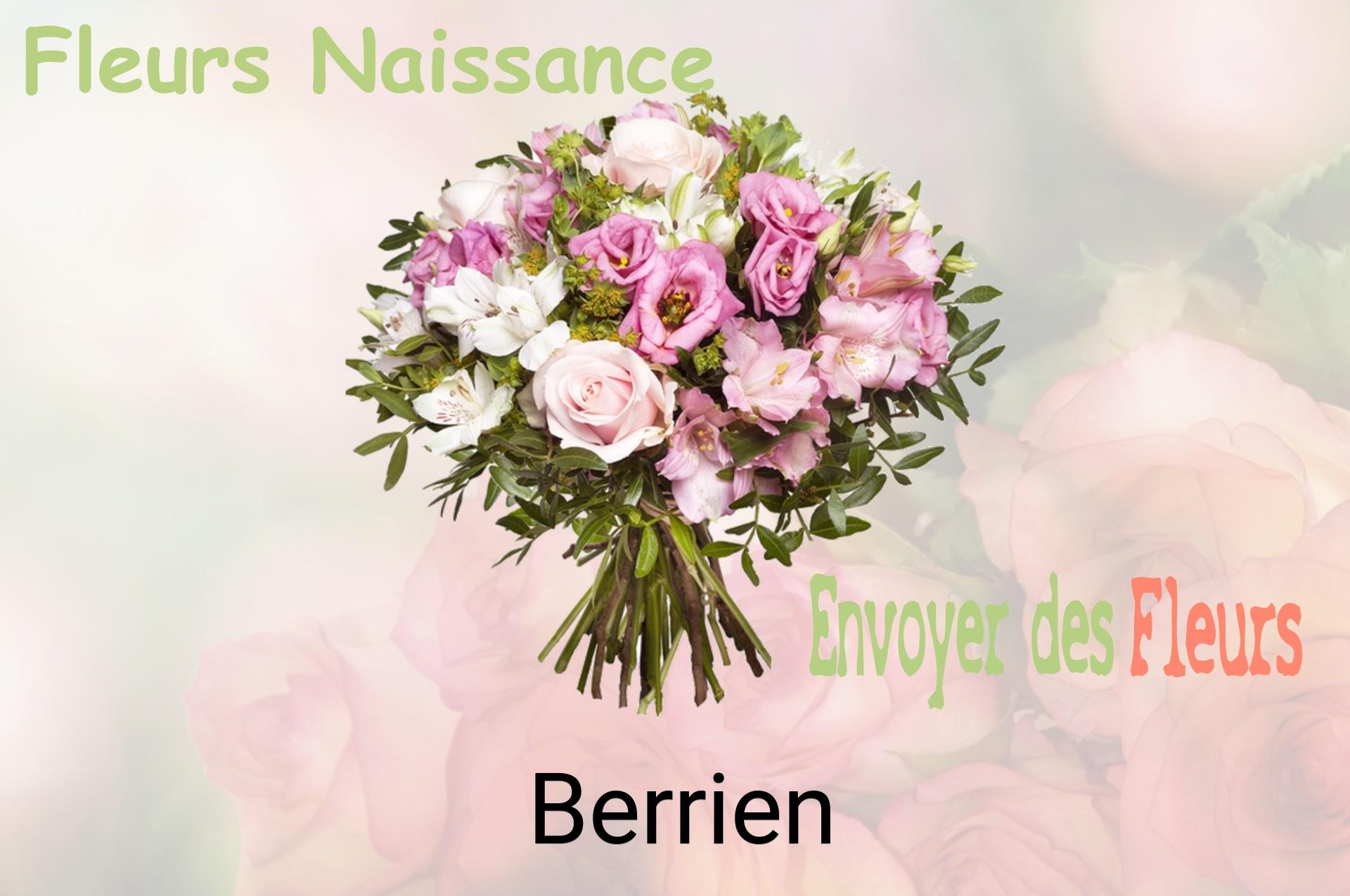 Bouquet de fleurs de naissance livré à Berrien